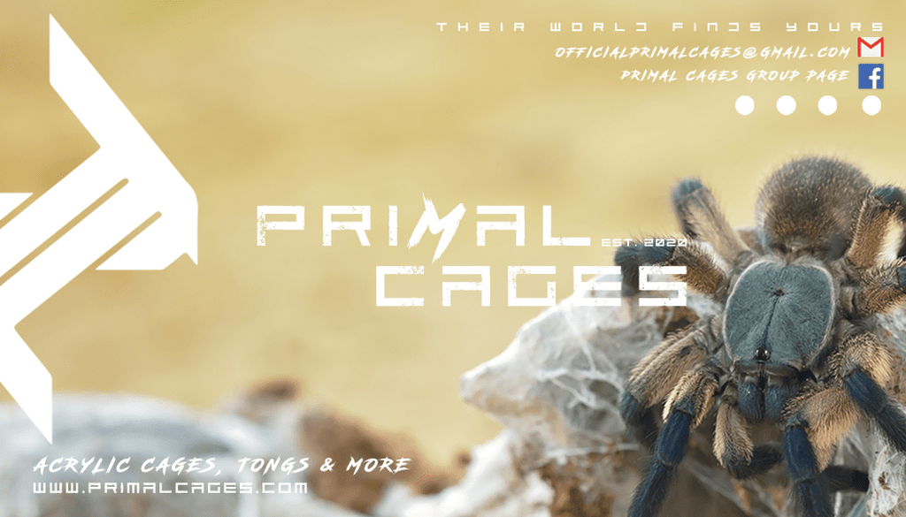 Primal Cages Company Card (Tool Set #1) - Primal Cages