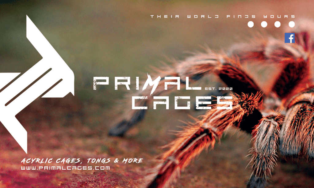 Primal Cages Company Card (Limited Launch Set) - Primal Cages