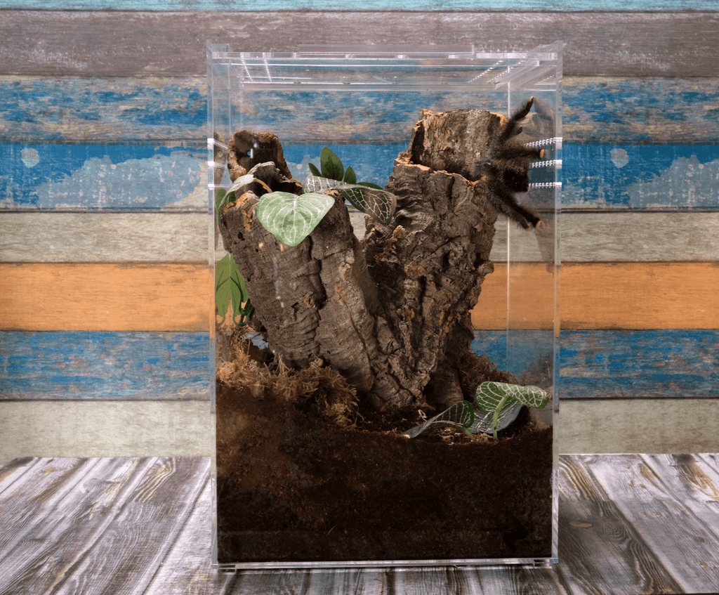 Zenith - Arboreal Cage, Large (8x8x12) - Primal Cages